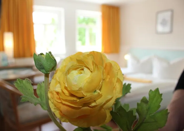 Lindenhof Hotel